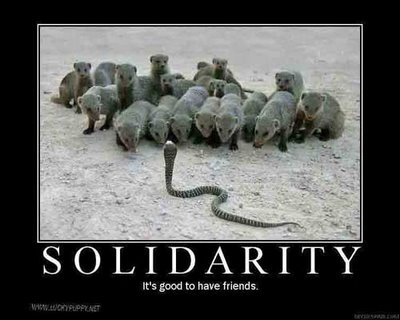 solidarity